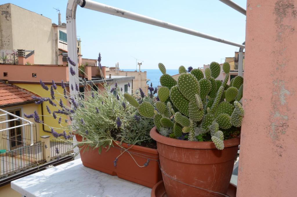 Hotel Banchi Riomaggiore Exterior foto